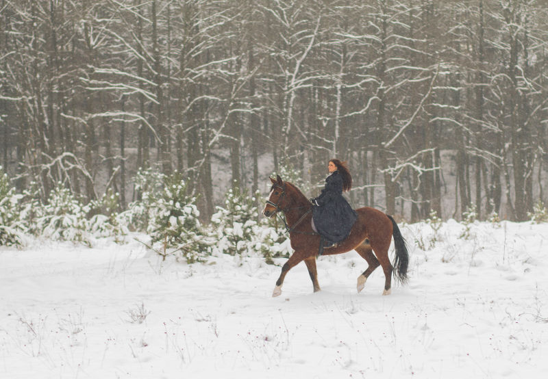 戴着皮帽的美丽女人冬天的马