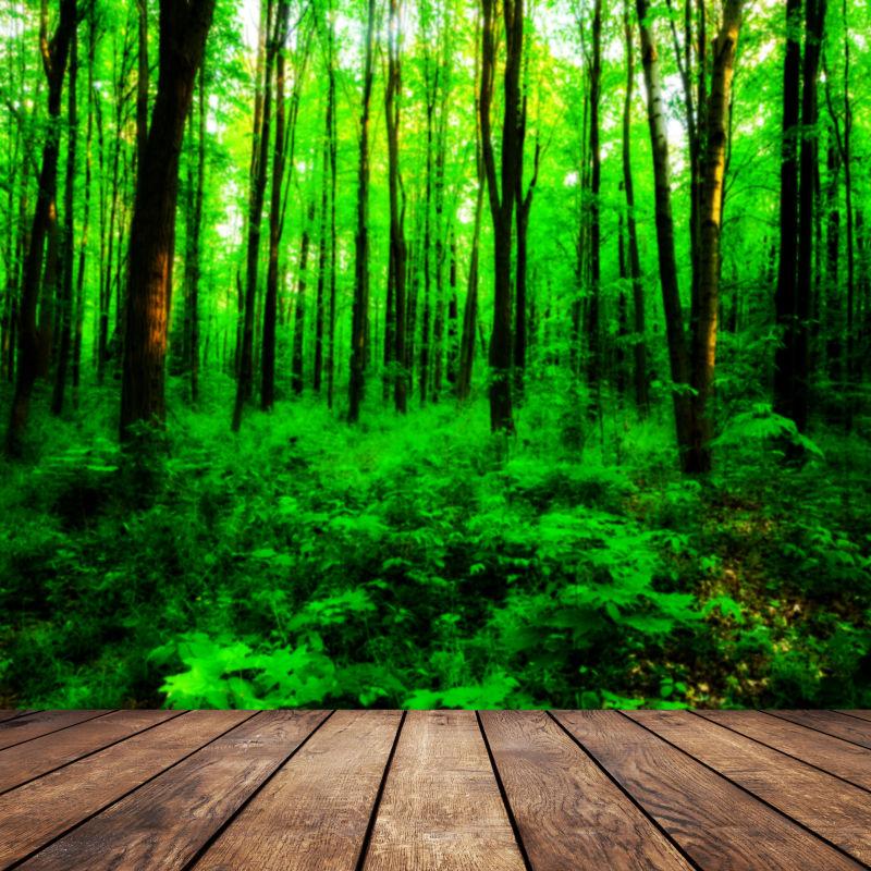 绿色森林背景前的木制桌子