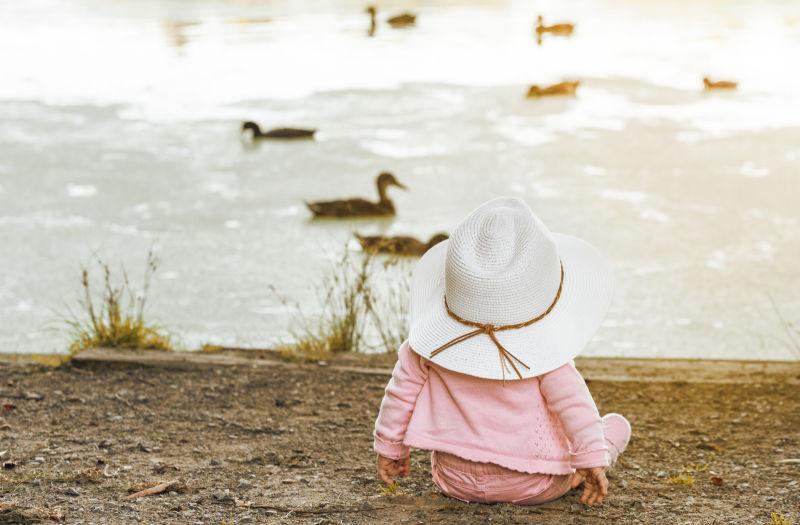 宝宝看河里的鸭子