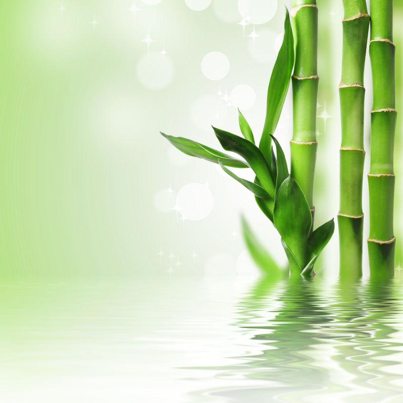水面上美丽的绿色竹子