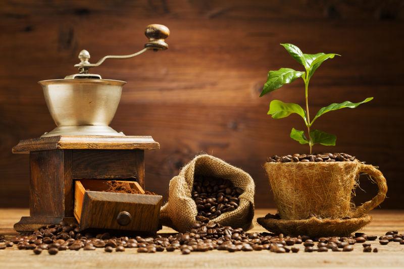 棕色木板背景上的咖啡豆和研磨机