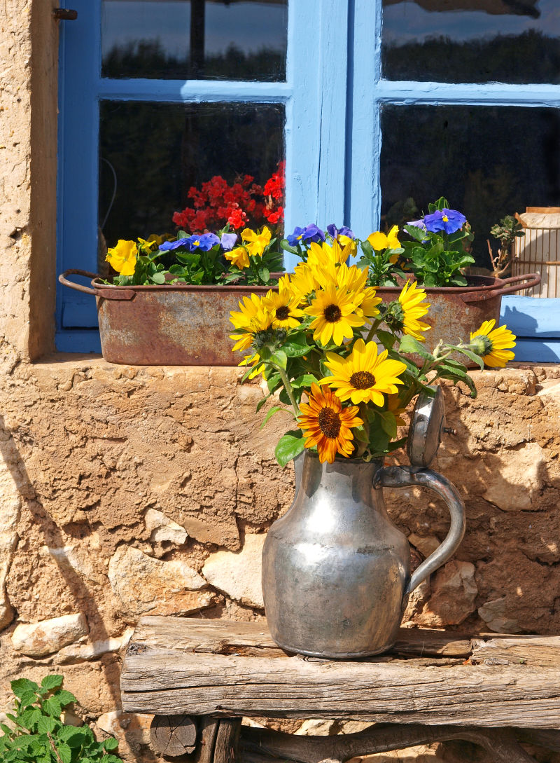 锡制水罐里的向日葵和阳台上的鲜花植物