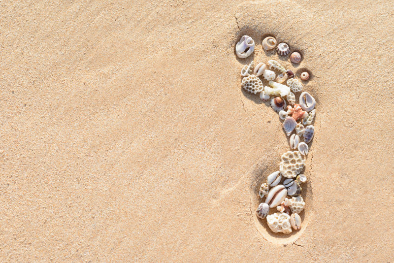 沙滩上填满贝壳的脚印