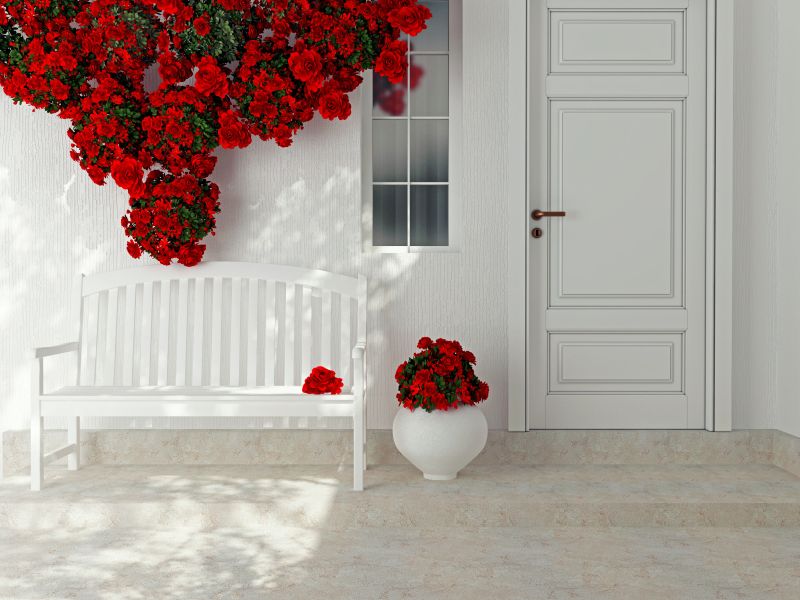 门廊上的白色长凳和红玫瑰