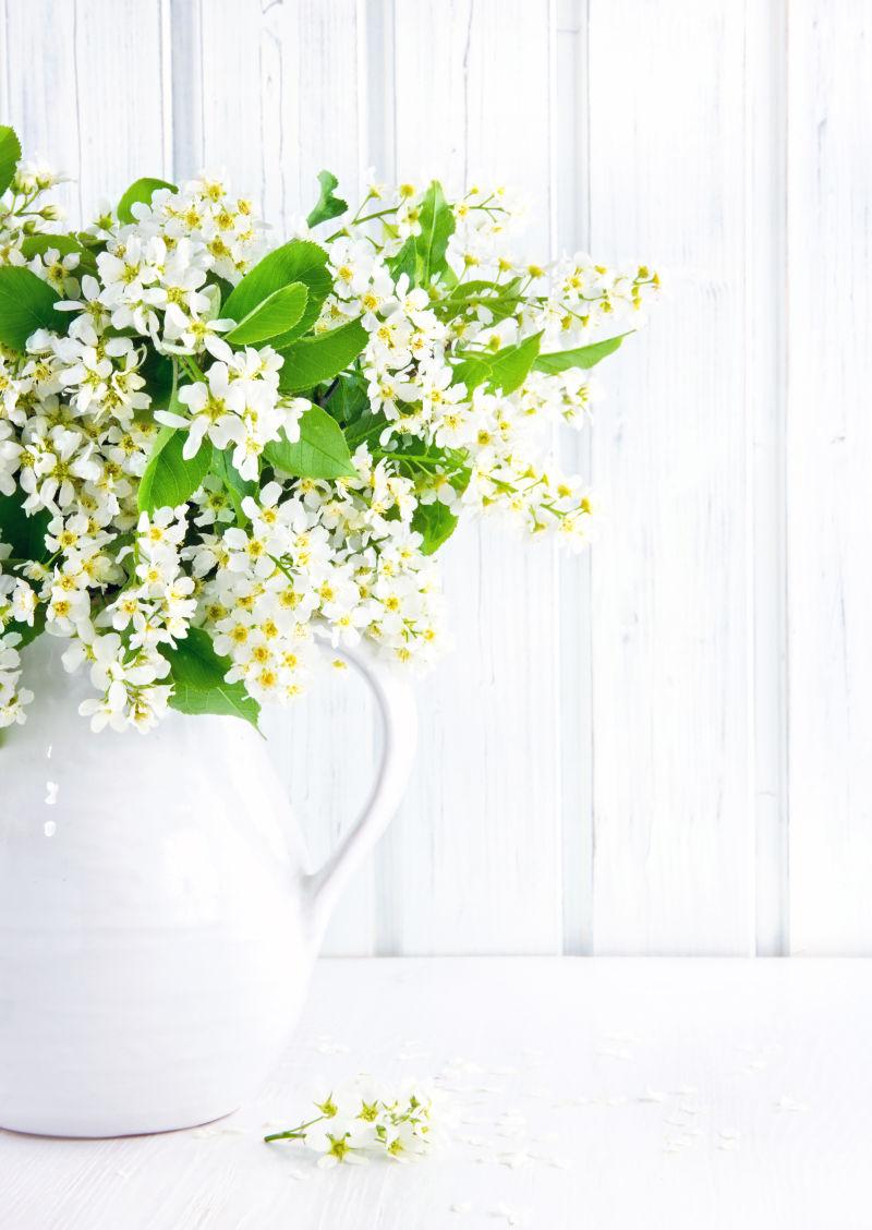白色的小花朵