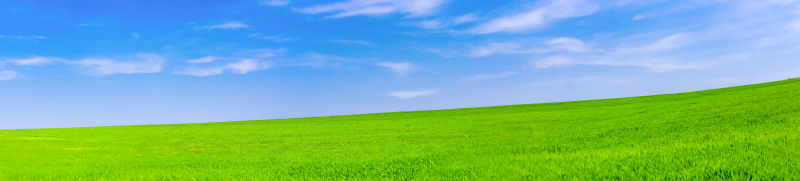 蓝天下嫩绿的草地