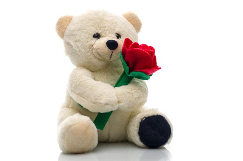白色背景上抱着玫瑰花玩具的泰迪熊毛绒玩具