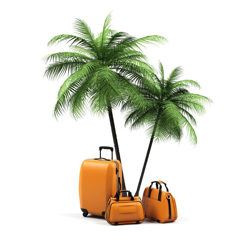 白色背景上的行李箱和棕榄树