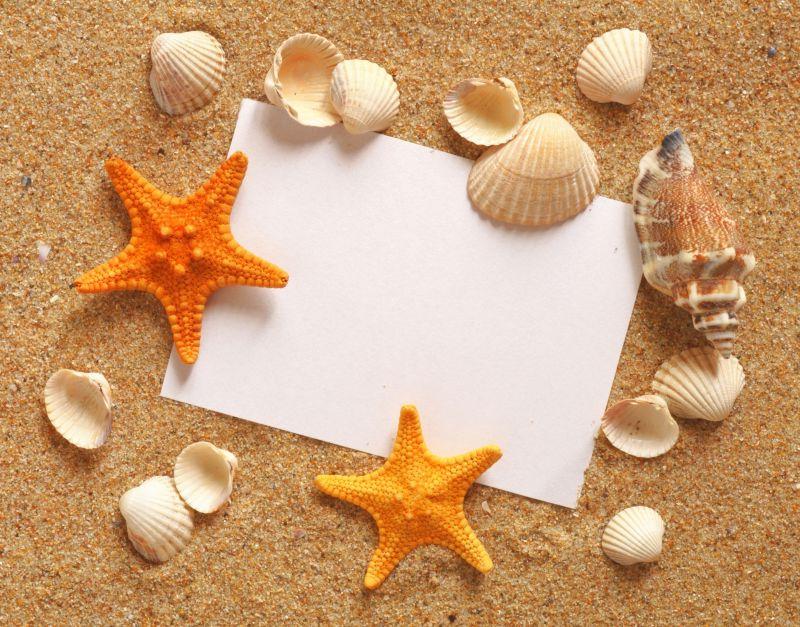 假日海滩概念与贝壳