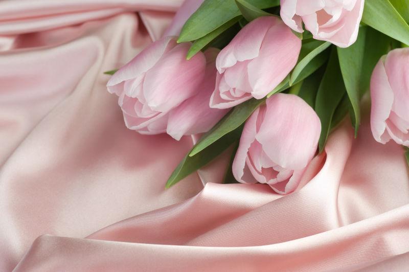 粉色丝绸上的粉色郁金香花束