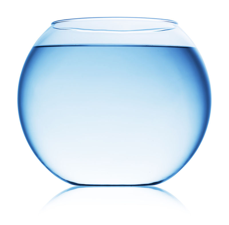透明缸中的水