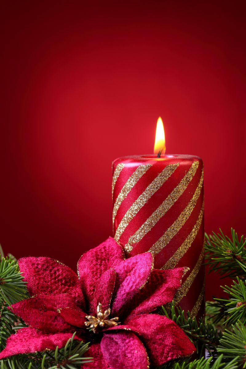红色背景下的圣诞蜡烛和松枝