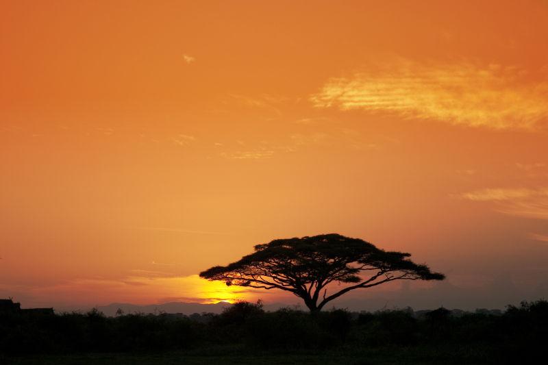 美丽的日出在Amboseli