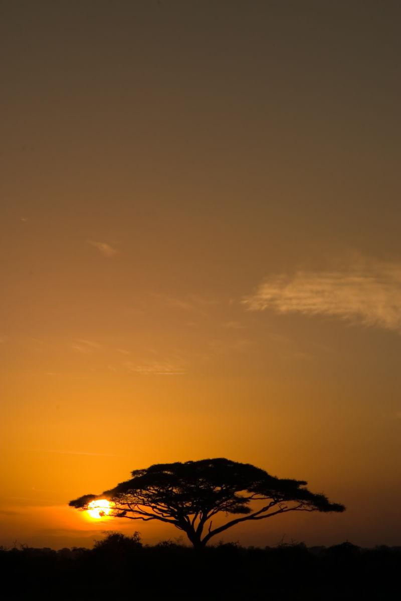 美丽的非洲日出