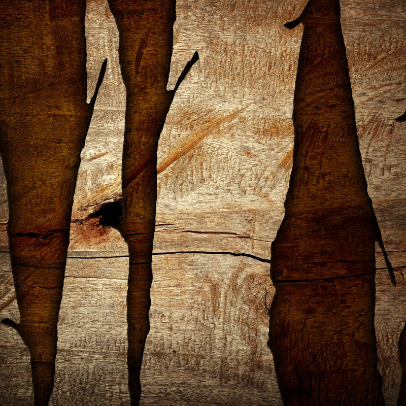 破碎树皮的木板纹理