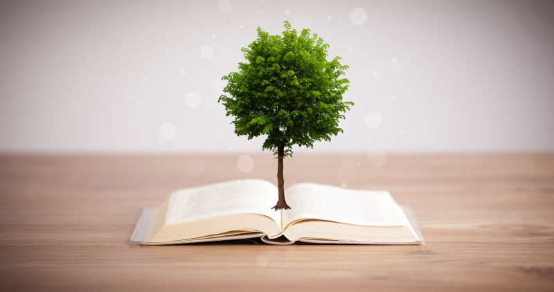 一本书和一棵树
