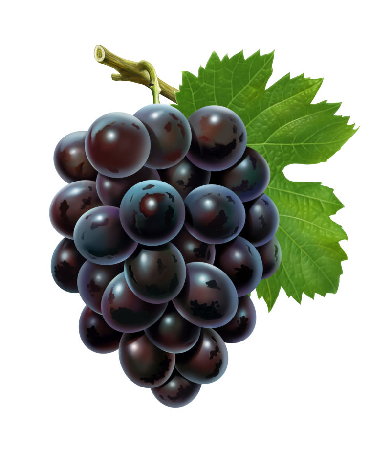 饱满的葡萄