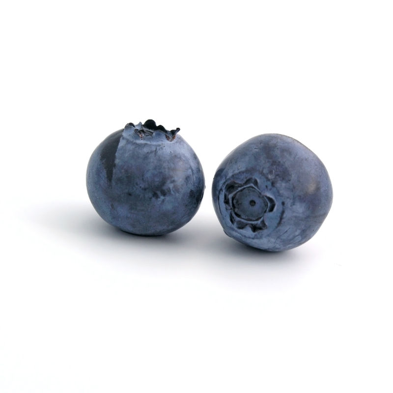 新鲜的两颗蓝莓