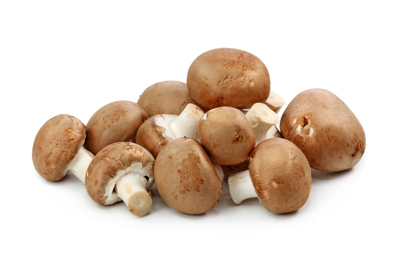 白色背景前的一堆蘑菇