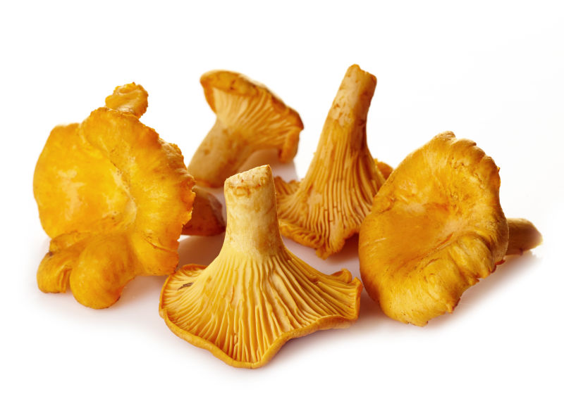 白色背景前的金色蘑菇