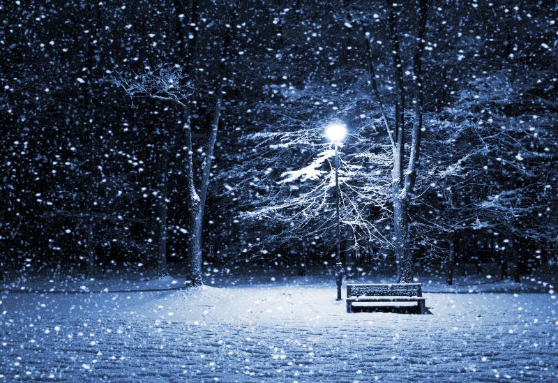 夜色下飘着雪的公园