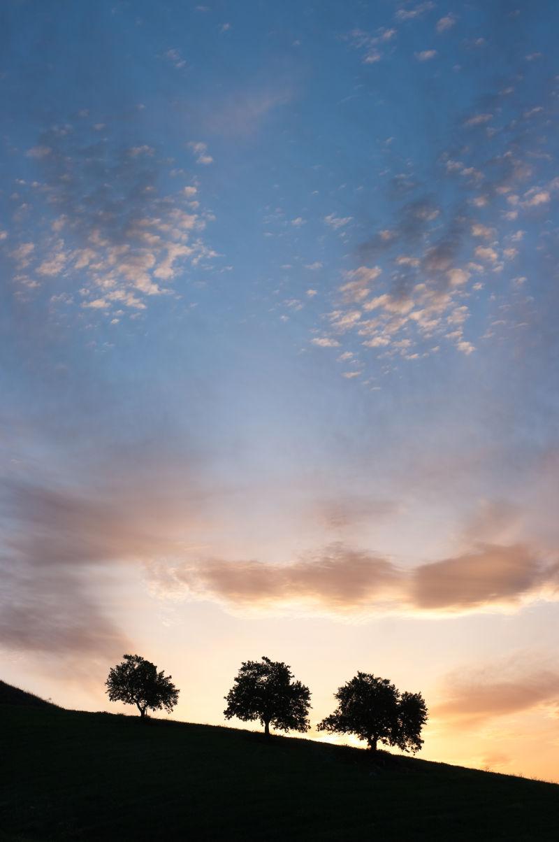 夕阳下美丽的森林景色