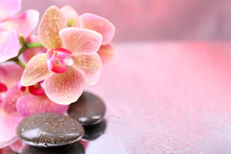 桌面上的粉色兰花和黑色鹅卵石