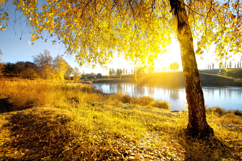 秋季美丽公园湖边