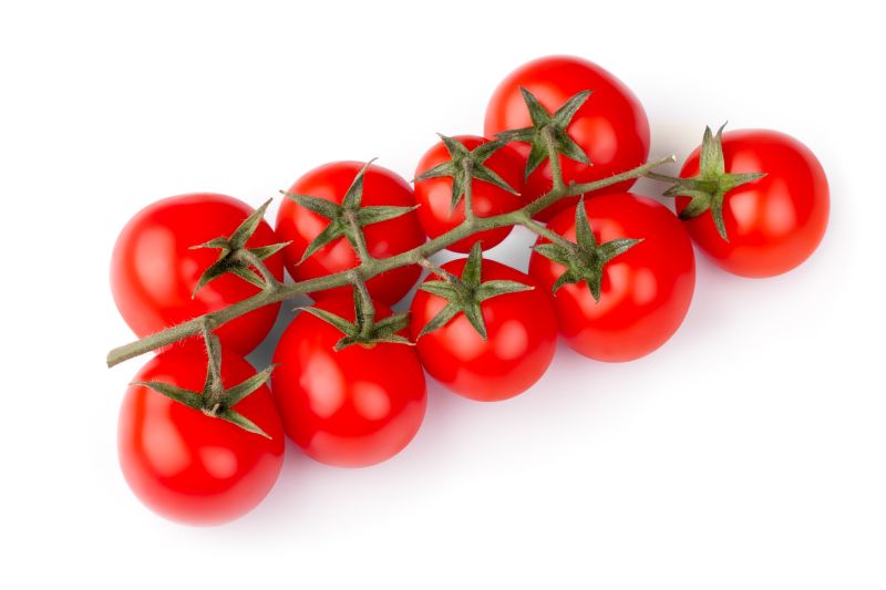 九颗西红柿长在一根藤上