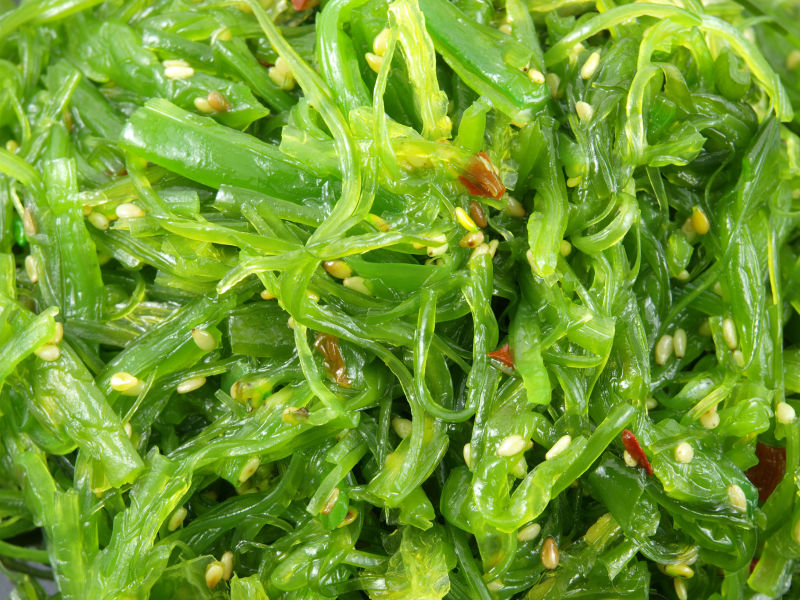 海藻食物