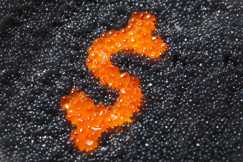 红色和黑色鱼子酱拼成美元符号形状