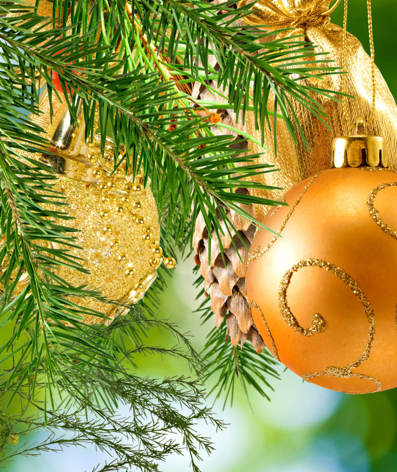 圣诞树枝上的金色和红色的圣诞装饰球