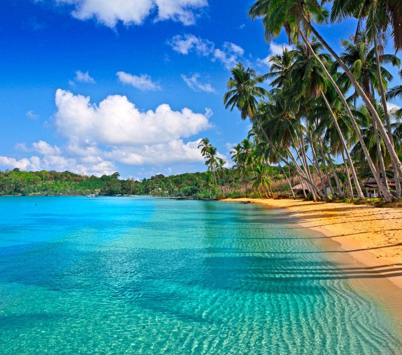 热带海滩上的天堂自然