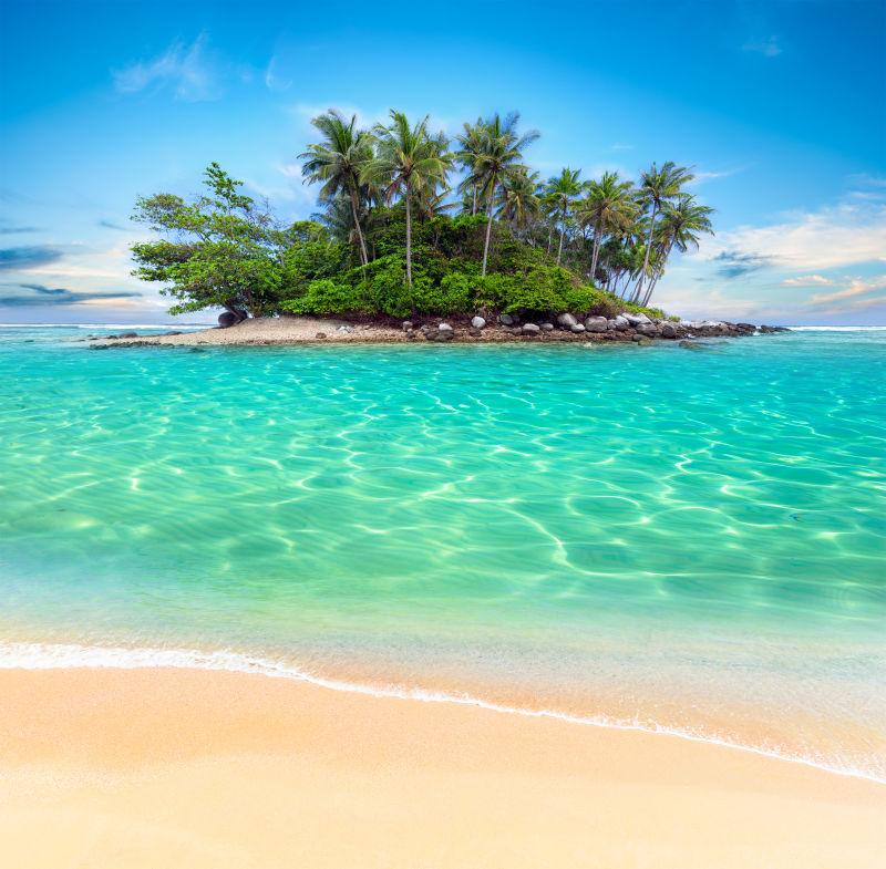 热带海滩泻湖棕榈树
