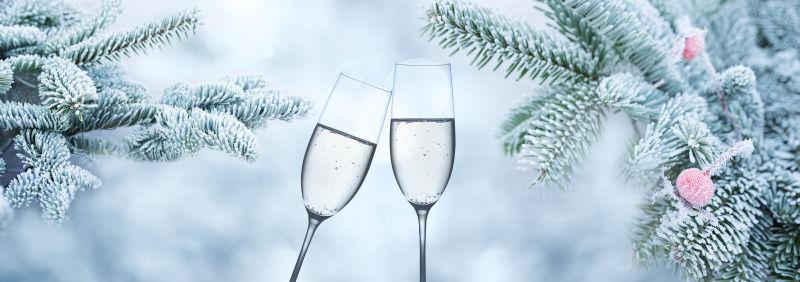 冬季背景下的香槟酒和浓雾覆盖的杉树树枝