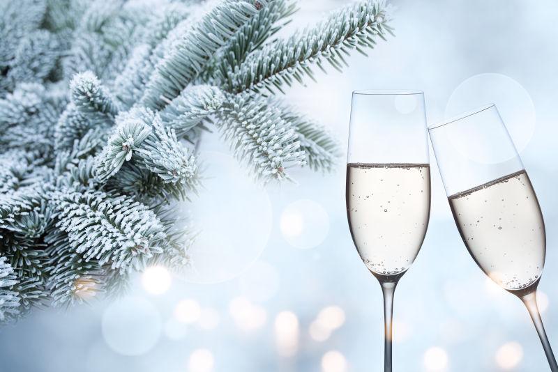 用香槟酒和冰霜覆盖的枞树枝庆祝冬天