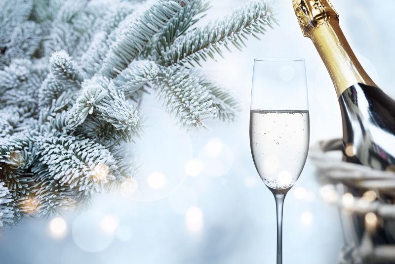 冬天用香槟和冰霜覆盖的杉树枝祝贺新年