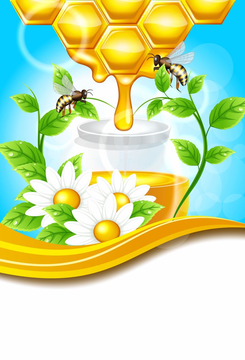 两只蜜蜂围着蜂蜜矢量