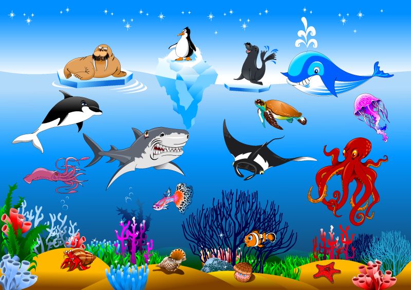 各类海洋生物矢量卡通图