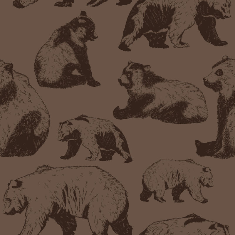 野生棕熊矢量插图
