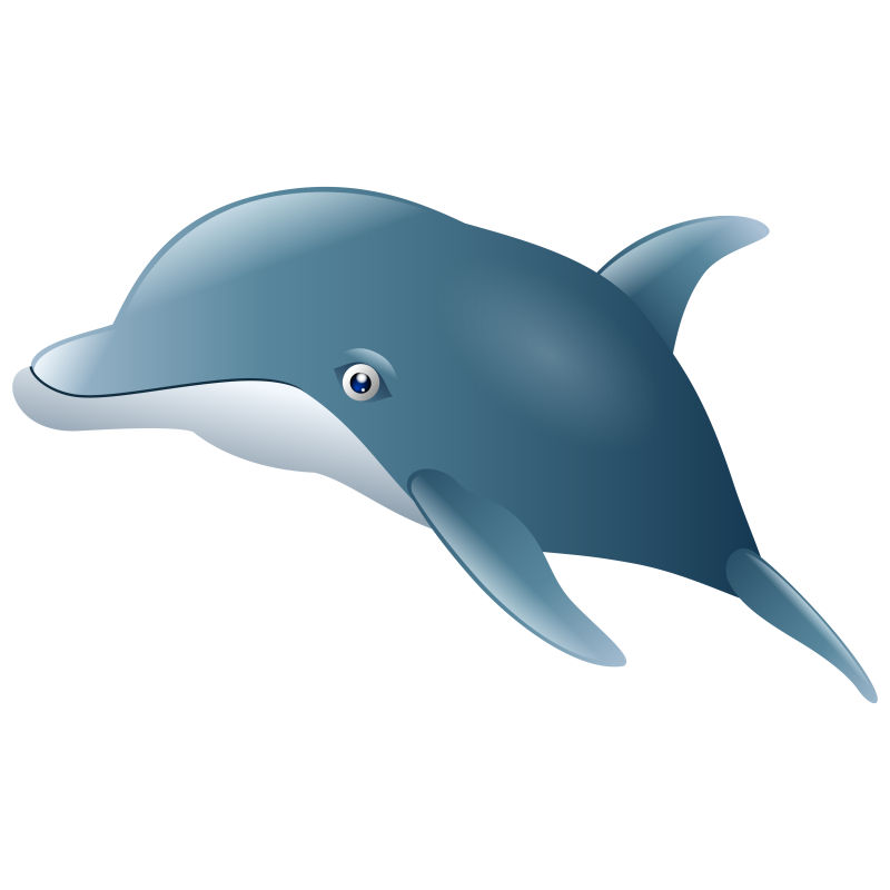 海豚卡通矢量图