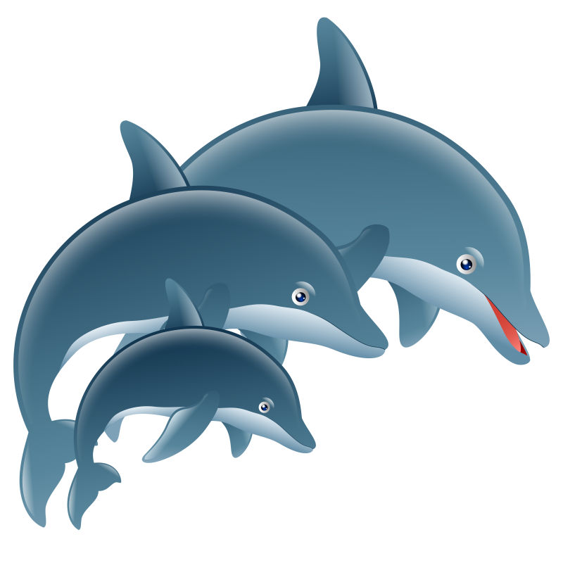 三只海豚卡通矢量图