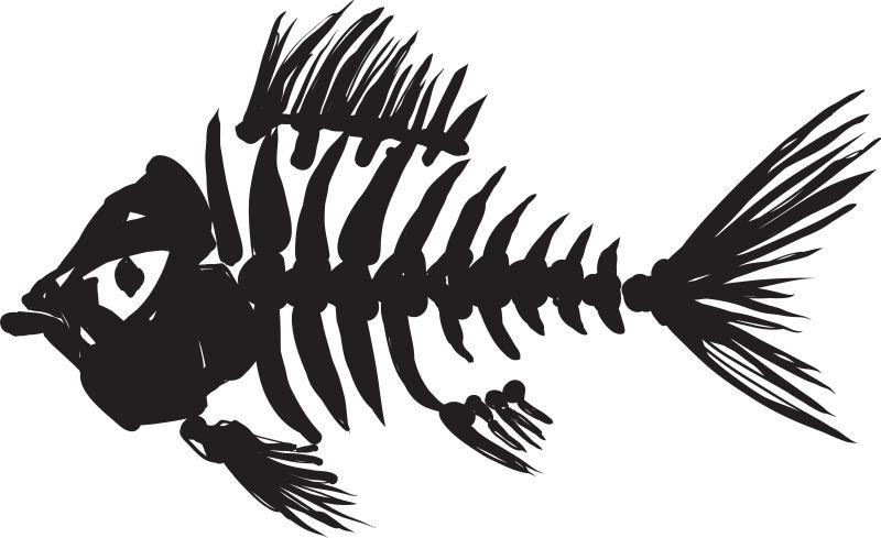 原始鱼类骨骼矢量图