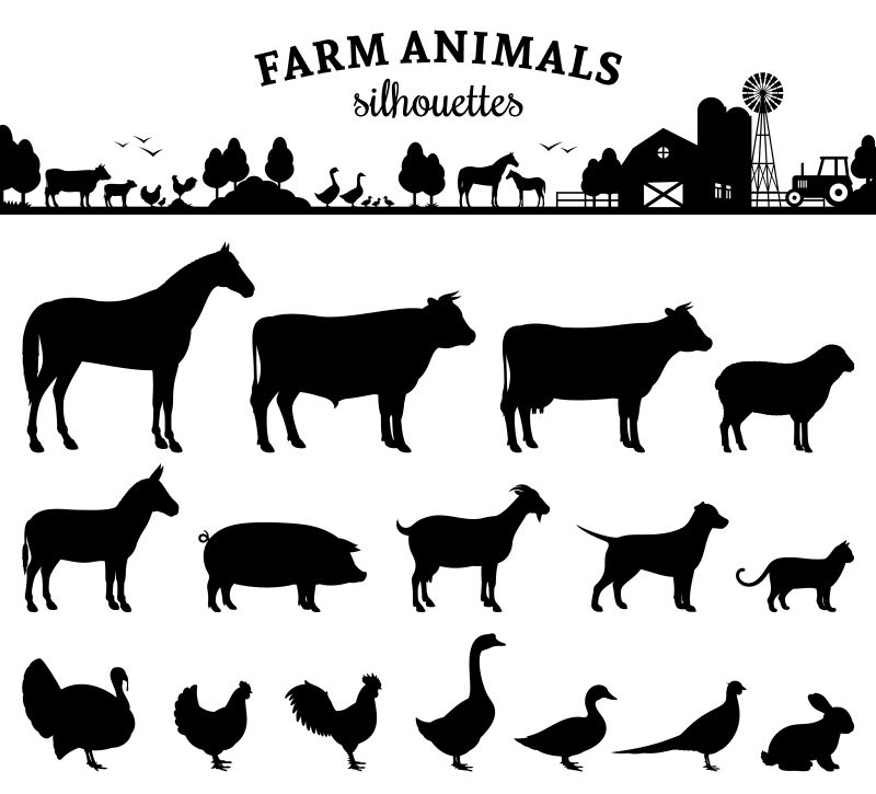 矢量的农场动物轮廓