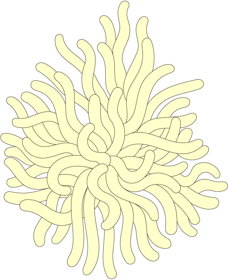 黄色海葵矢量卡通图