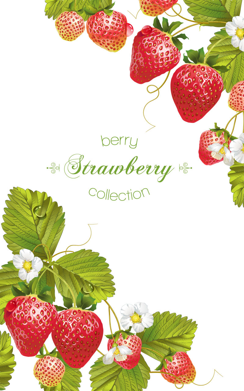 草莓横幅设计矢量插图