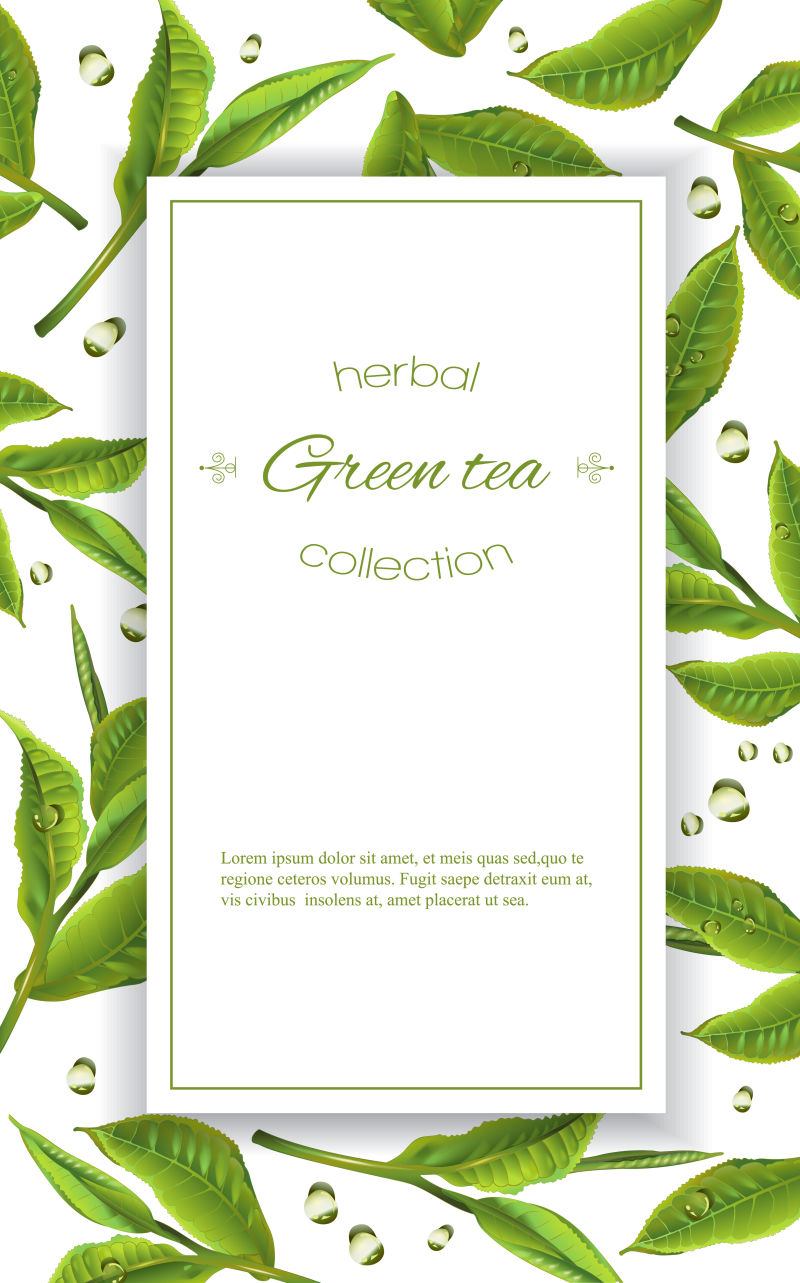 绿茶和水滴横幅设计矢量插图
