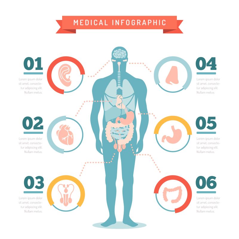 矢量人体医学信息图表设计图