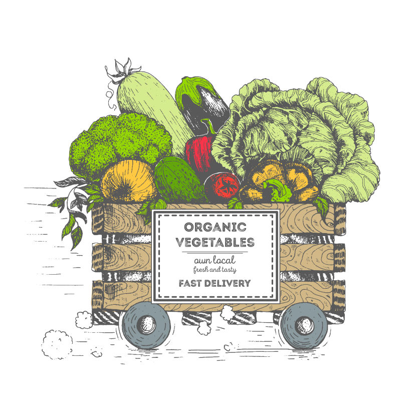 新鲜蔬菜运输概念海报设计矢量插图