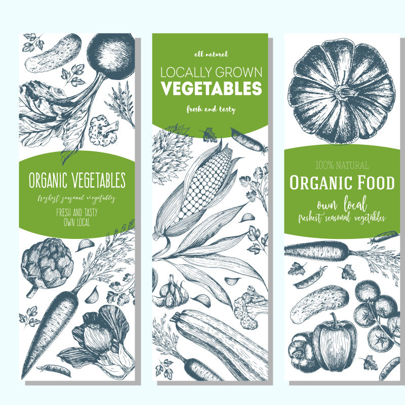 创意手绘蔬菜海报矢量插图